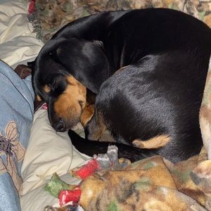 Meet your Posher, Madison